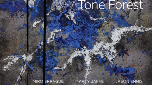 Tone Forest album cover